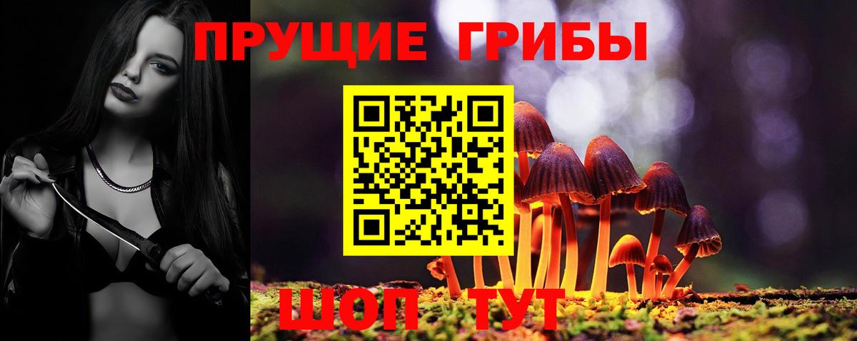 Саратов  Псилоцибиновые грибы прущие грибы  Галлюциногенные грибы Magic Shrooms  сколько стоит  Вход с VPN 